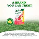 TRUE LIME Black Cherry Limeade Drink Mix (10 Count - 1 pack) | Made from Real Limes | No Preservatives, No Artificial Sweeteners, Gluten Free | Water Flavor Packets & Water Enhancer with Stevia - Image 7